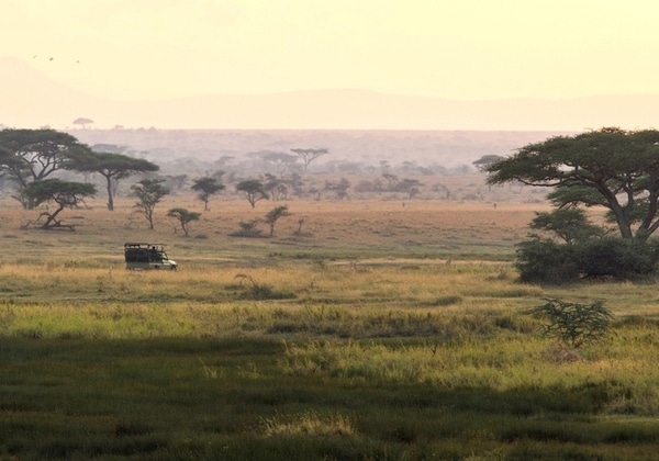 Nord Tanzanie Safari est Serengeti Namiri Plains 1