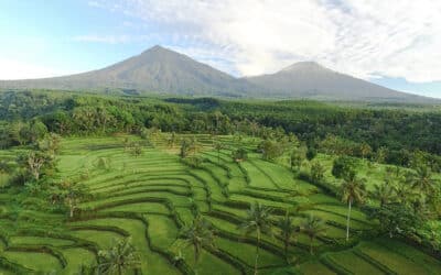 Indonésie – Java-Villa Borobudur