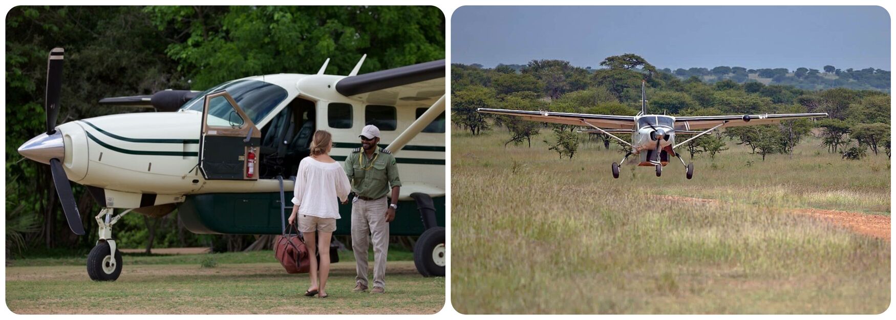 Safari Afrique avionnette