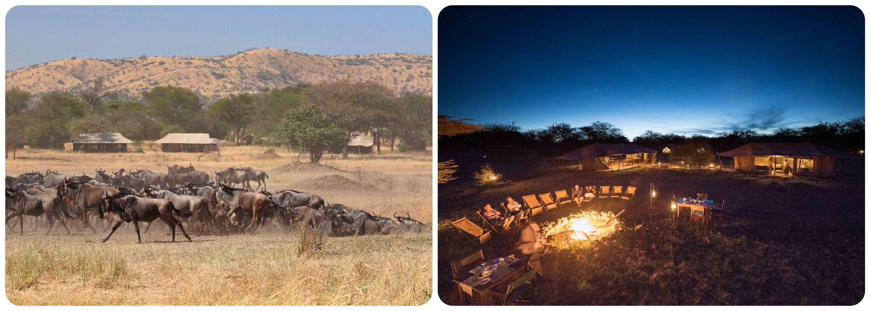 Safari Afrique camp tentes