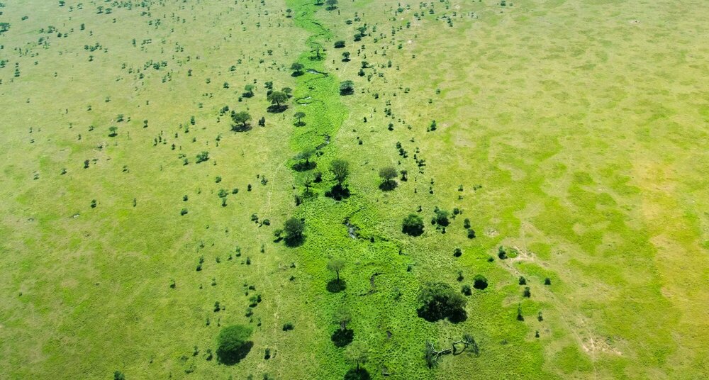 Tanzanie Serengeti Kopjes Migration Seronera