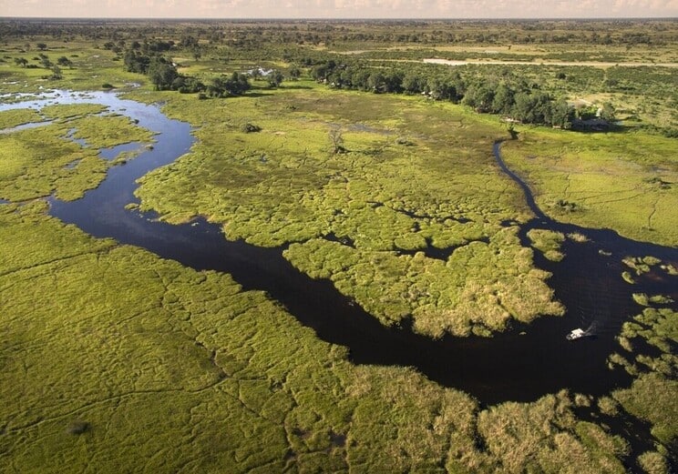 Botswana Duba Concession Okavango