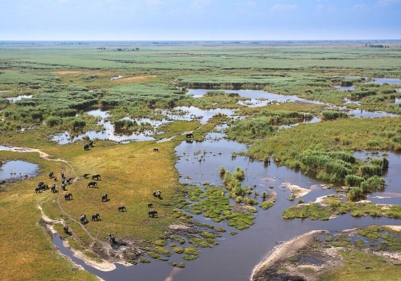 Botswana Linyanti waterfront min
