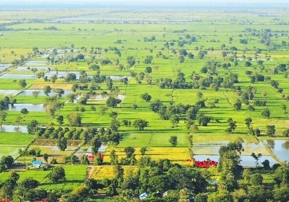 Cambodge Battambang rizieres cambodge min