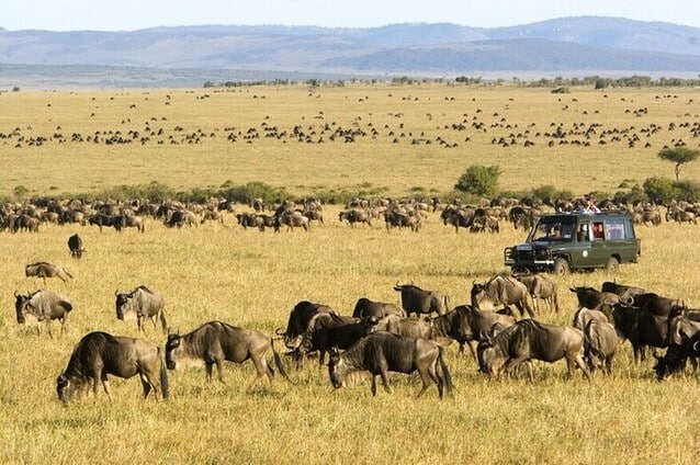 Seronera-centre-Serengeti-Nord-Tanzanie