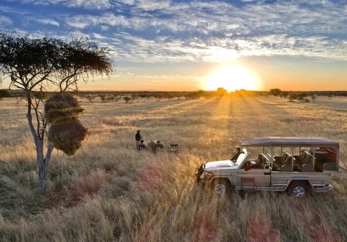 Safari Etosha Namibie