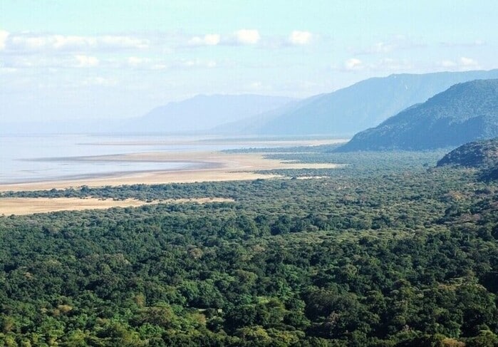 Tanzanie parc lac Manyara