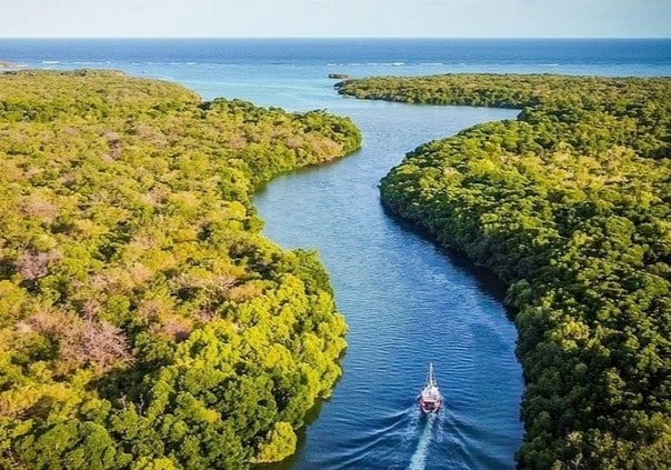 lagon mangrove chole Mafia Tanzanie 1