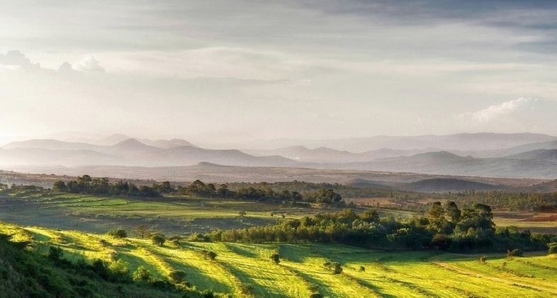 Paysages des hauts plateaux de Karatu dans le nord de la Tanzanie