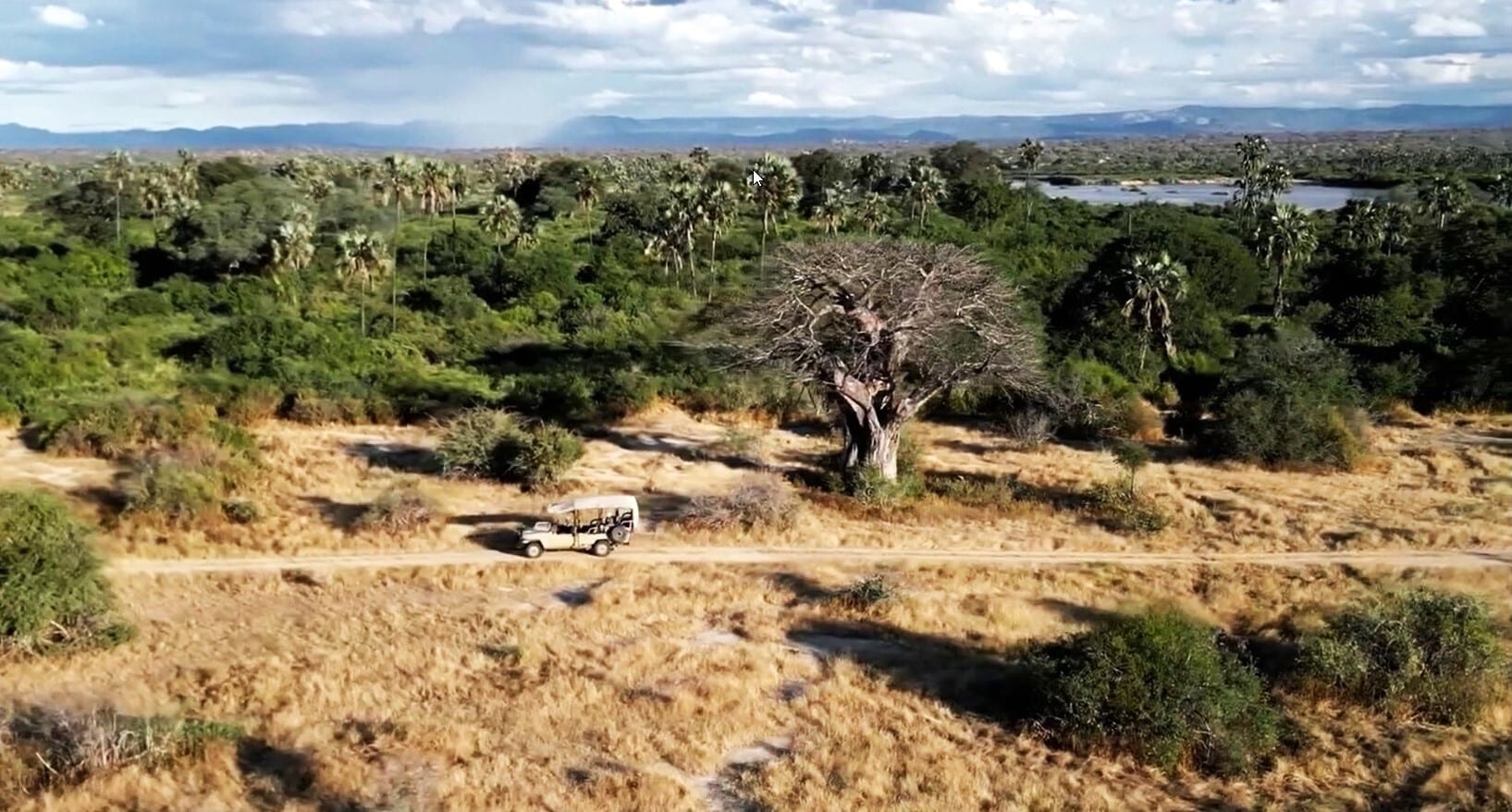 Paysages de brousse de Ruaha dans le sud de la Tanzanie