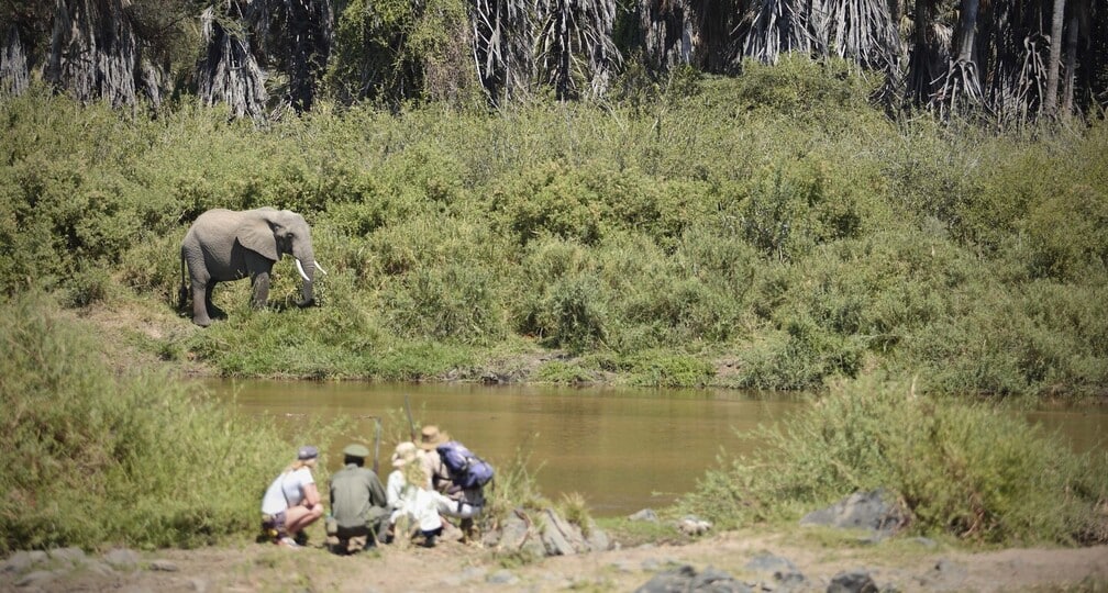 Safari à pied à Ruaha avec Kichaka Expeditions