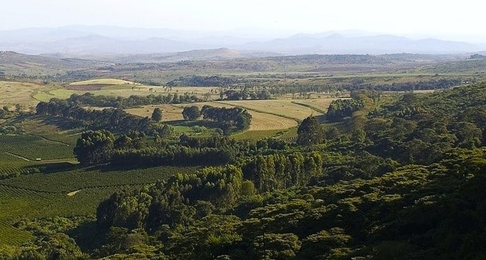 Plantations et forêts des hauts plateaux de Karatu en Tanzanie