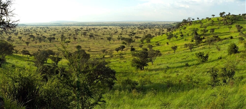 Panorama sur la zone protégée de Grumeti au centre ouest du Serengeti