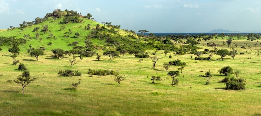 Les collines de Grumeti à l'ouest du Serengeti