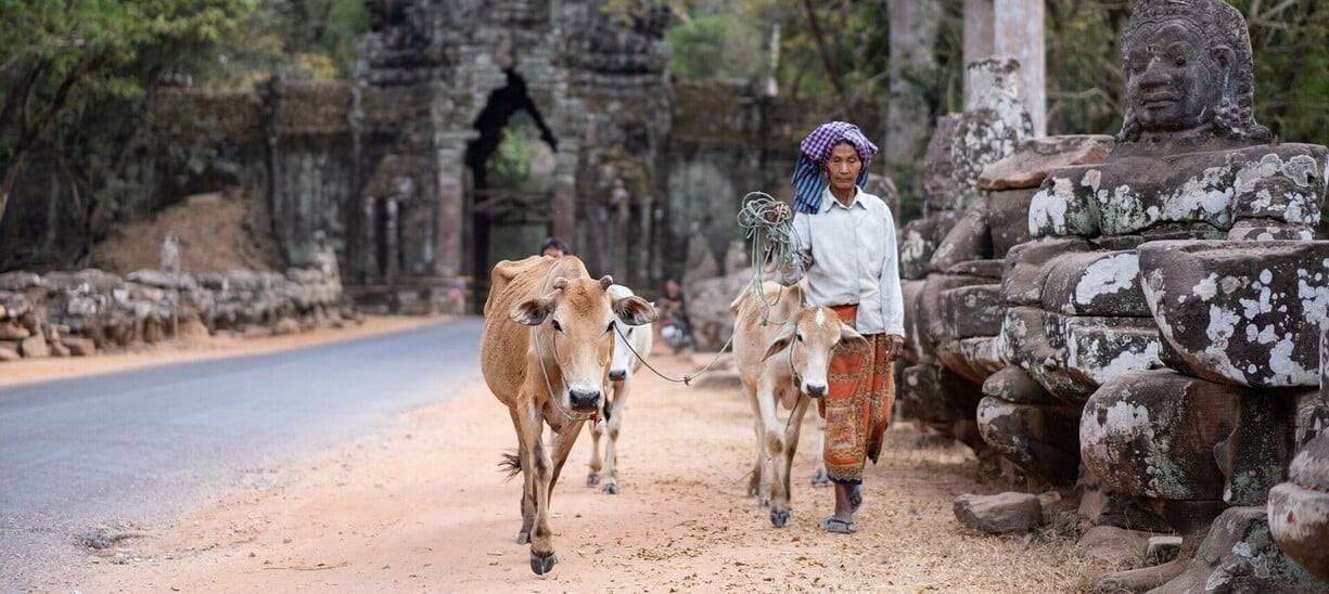 Vie quotidienne khmère à proximité des temples d'Angkor