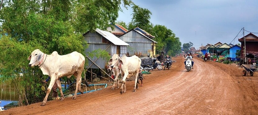 Traversée de village dans la région du Tonlé Sap entre Phnom Penh et Siem Reap