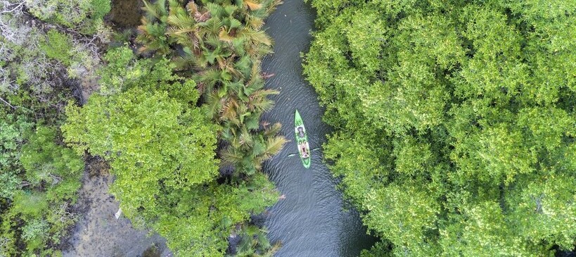Vue aérienne sur une excursion en kayak à travers la jungle des Cardamomes