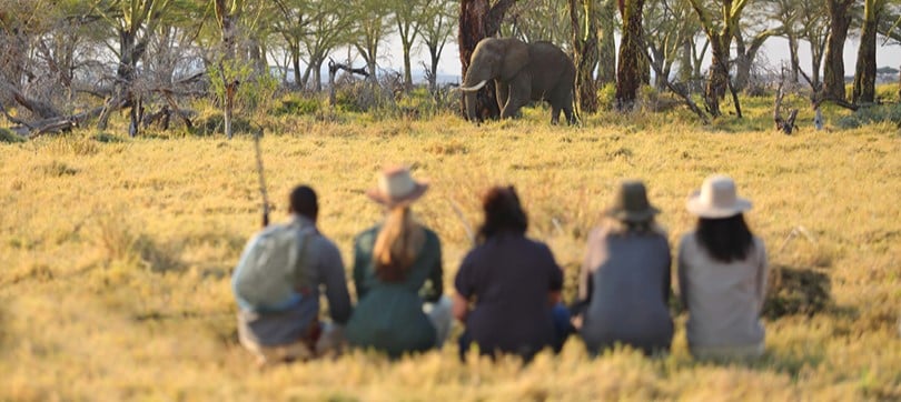 Safari à pied dans l'Est du Serengeti