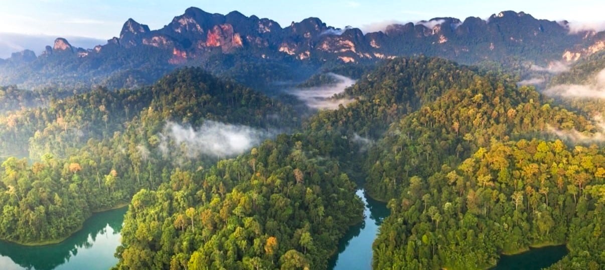 vue aérienne sur la jungle et les montagnes qui dominent le parc national de Khao Sok
