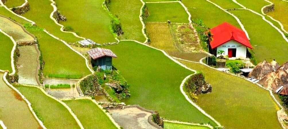 Gros plans sur les rizières en terrasse à Banaue