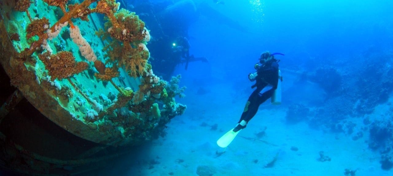Busuanga et Coron accueillent parmi les plus beaux fonds marins du monde pour la plongée sous-marine