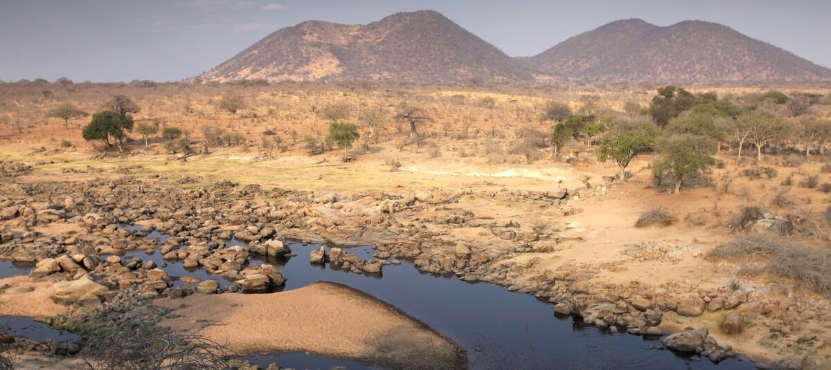Rives de la rivière Ruaha dans le sud de la Tanzanie