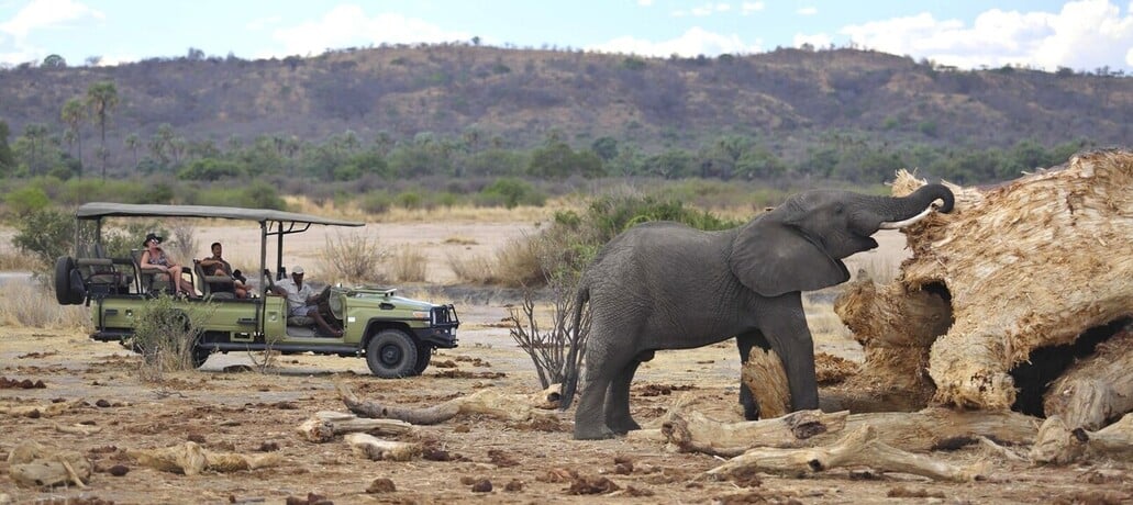 Safari à Ruaha en 4X4 dans le sud la Tanzanie
