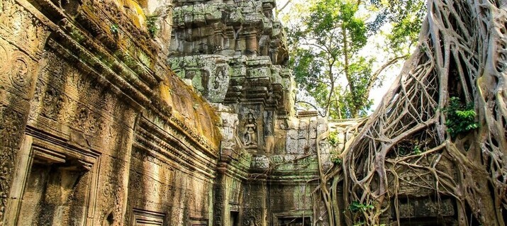Ta Phrom envahi par les racines de fromager, l'un des plus célèbres temple d'Angkor