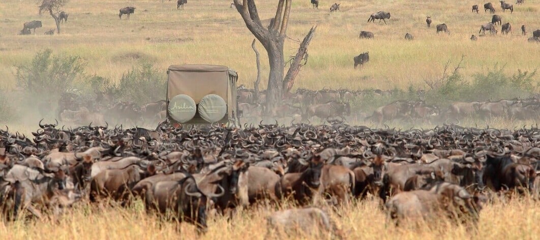 Safari en 4X4 en Tanzanie pendant la grande migration des gnous