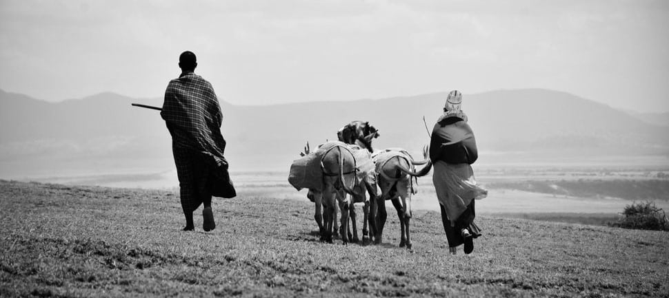 Scène de vie lors d'une randonnée dans le Ngorongoro
