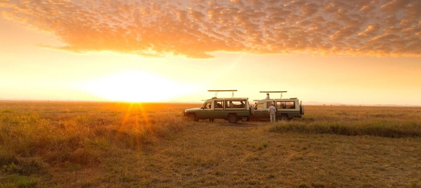Safari en 4X4 en Tanzanie jusqu'au coucher du soleil sur la savane du Serengeti