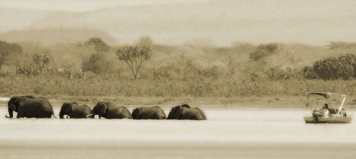Lors d'un voyage dans le sud de la Tanzanie, safari en bateau sur le lac Siwandu
