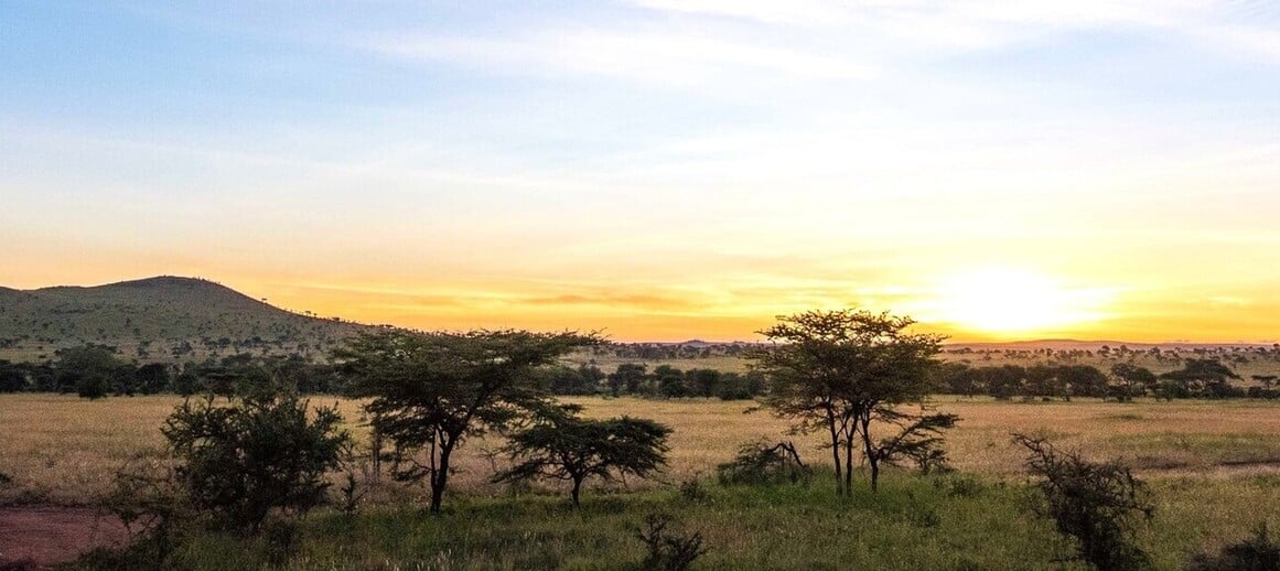 Lever de soleil sur la brousse dans le parc du Serengeti dans le nord de la Tanzanie