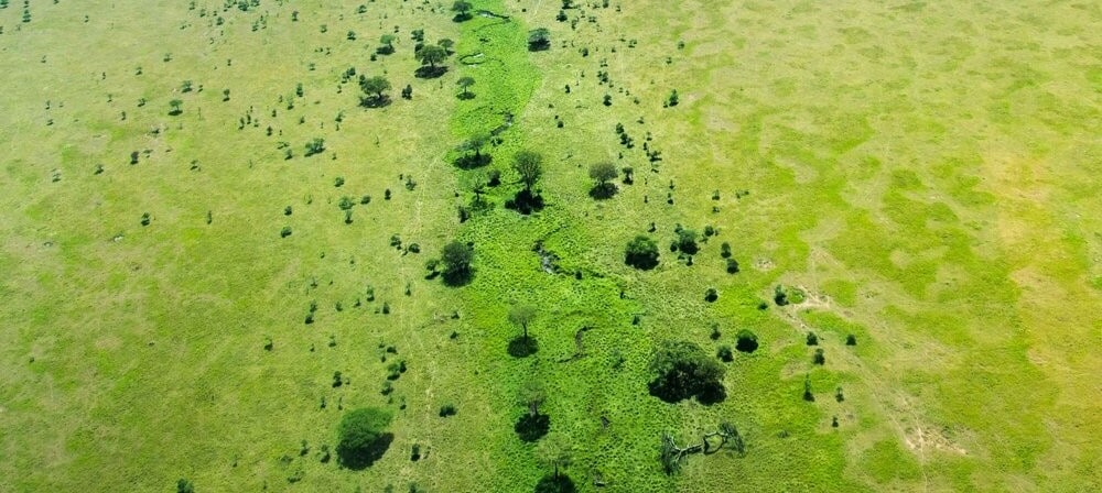vue aérienne sur la rivière Seronera et les plaines du Serengeti en Tanzanie
