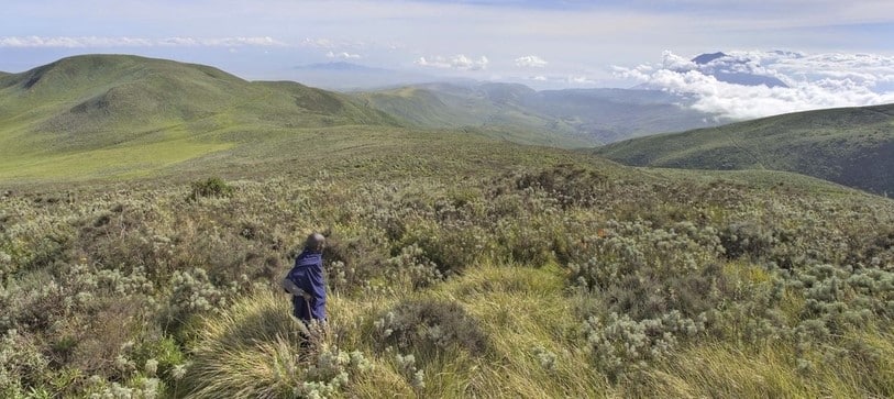 Guide masaï pour une randonnée sur les hauts plateaux du Ngorongoro dans le nord de la Tanzanie