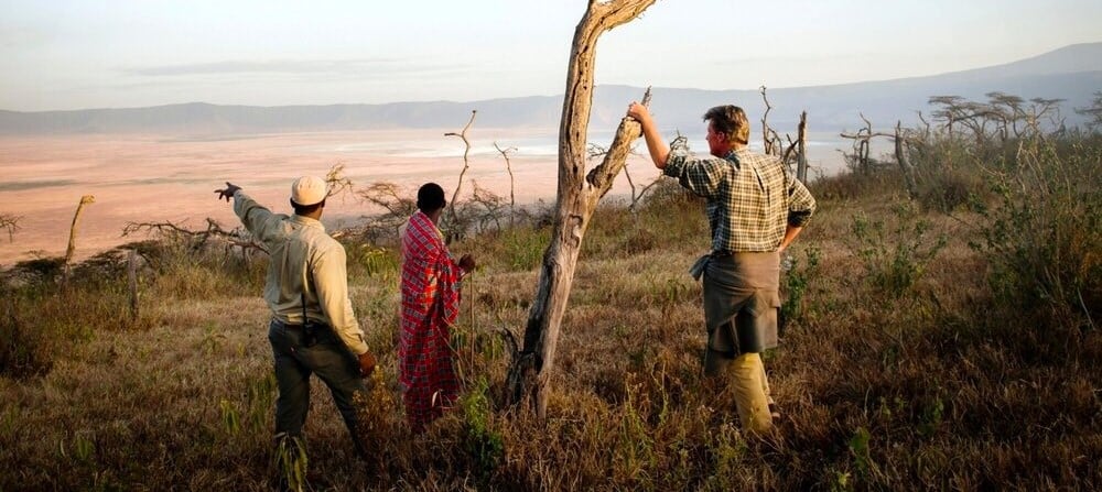 Safari à pied sur l'arrête du cratère du Ngorongoro