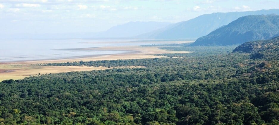 Panorama sur le parc national du lac Manyara et la faille du rift, incontournable d'un safari en Tanzanie