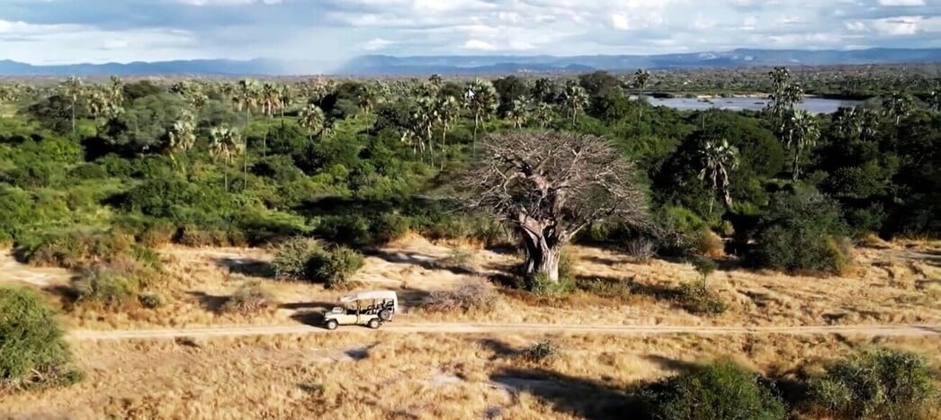 Safari en 4X4 dans le parc de Ruaha dans le sud de la Tanzanie