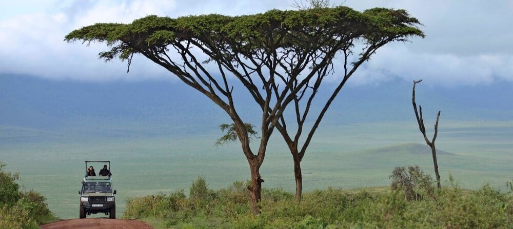 Safari en 4X4 dans le cratère du Ngorongoro