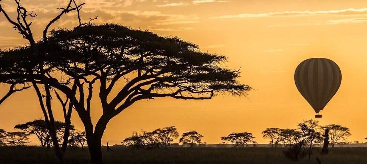 Safari en montgolfière au lever du soleil dans le centre du parc du Serengeti en Tanzanie