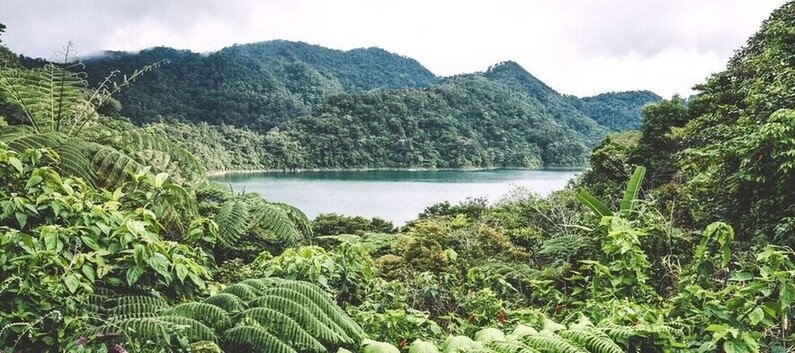 Paysages des lacs de l'île de Negros dans l'archipel des Visayas