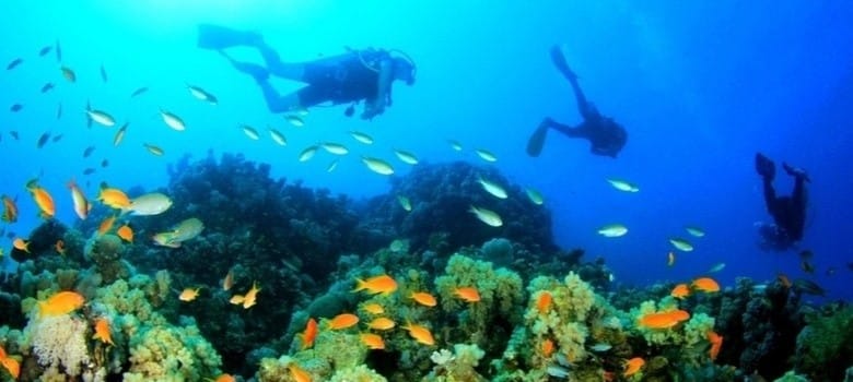 Les meilleurs spots de plongée de Zanzibar sont à Mnemba au large de Zanzibar
