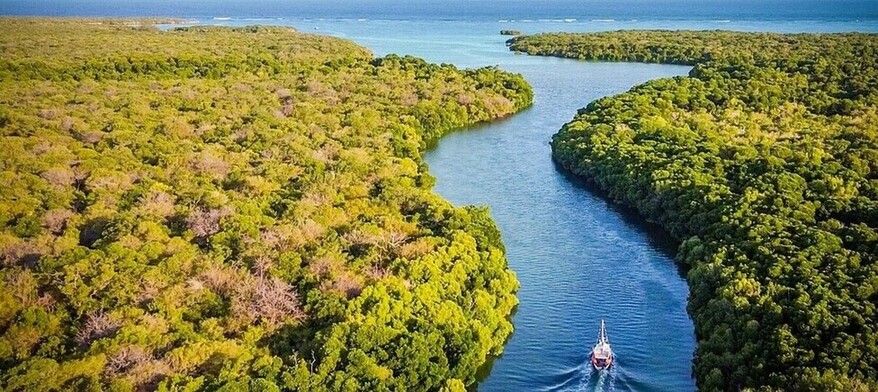 Mangroves et lagons de la baie de Chole à Mafia