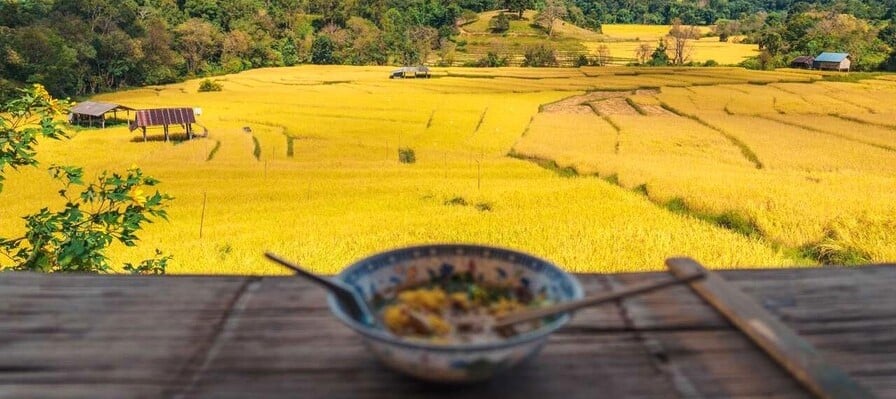 Découverte culinaire et immersion à la campagne au nord ouest de la Thaïlande