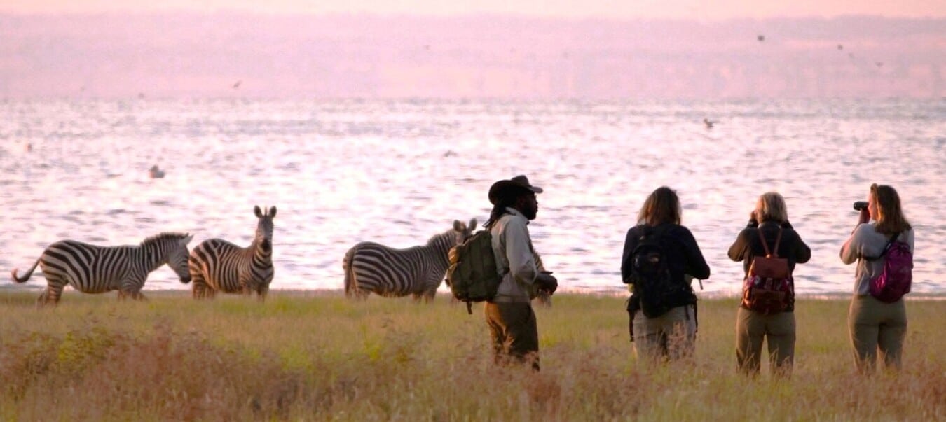 Safari à pied dans le parc du lac Manyara lors d'un voyage en Tanzanie