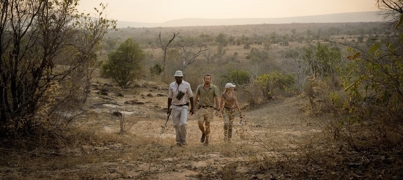 Safari à pied dans la réserve de Selous dans le sud Tanzanien