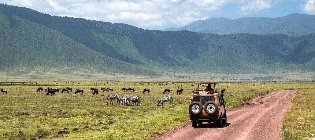 Safari à l'intérieur du cratère du Ngorongoro